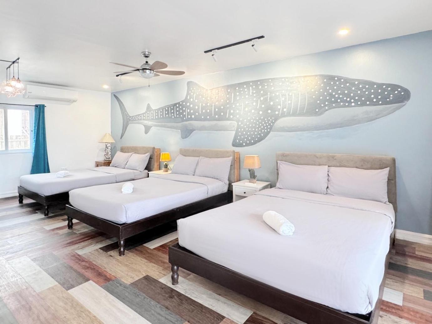 Kalachuchi Inn 薄荷雞蛋花旅宿 Panglao City Exterior foto